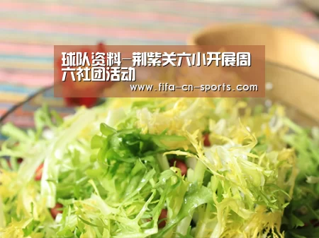 球队资料-荆紫关六小开展周六社团活动(图1) 新闻快讯