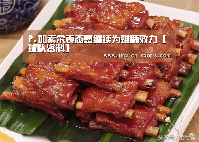 P.加索尔表态愿继续为雄鹿效力【球队资料】(图4) 世界杯资讯