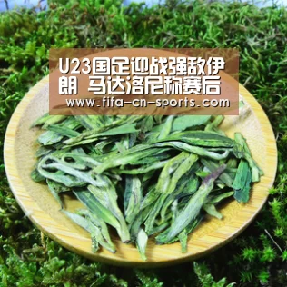 U23国足迎战强敌伊朗 马达洛尼称赛后将敲定亚运会最终名单_新闻快讯(图2) 赛程时间