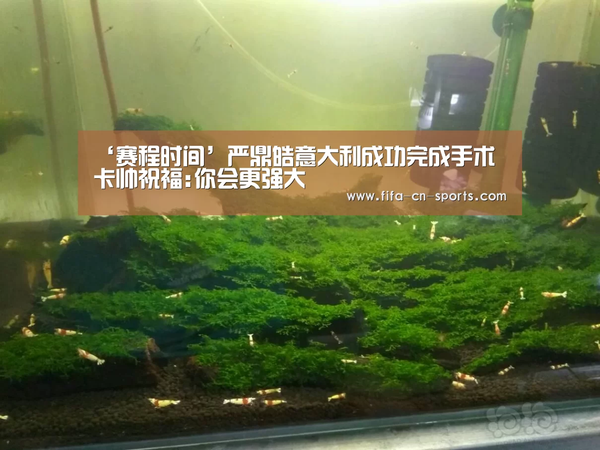 ‘赛程时间’严鼎皓意大利成功完成手术 卡帅祝福:你会更强大(图2) 新闻快讯