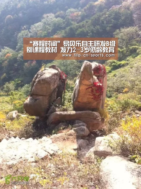 世界杯资讯