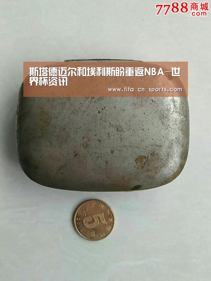 斯塔德迈尔和埃利斯盼重返NBA-世界杯资讯(图1) 赛程时间