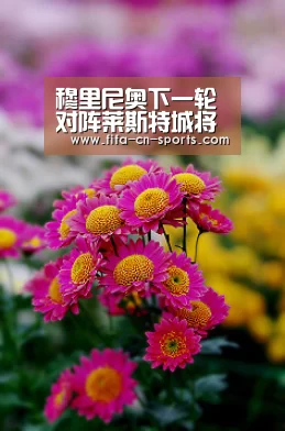 穆里尼奥下一轮对阵莱斯特城将弃用鲁尼?【